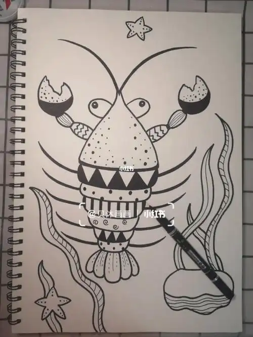 线描100副计划5/100—《龙虾》