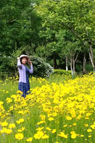 被风吹过的夏天