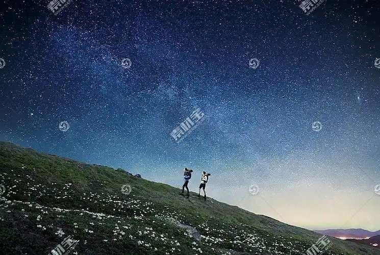 唯美星空下的夜景主题简洁海报背景图片