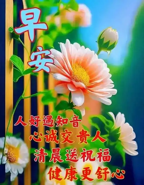 早安美心语‖早起微微笑,开心快乐迎接今天,平安健康在身边
