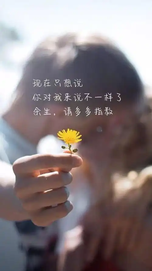 心情说说简短句子关于友谊的句子简短