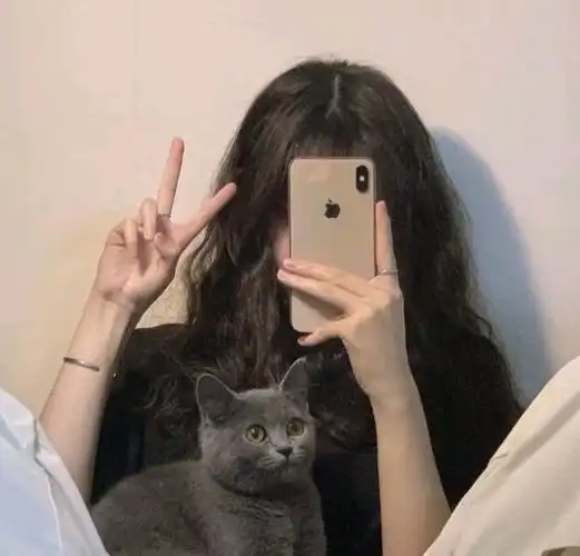 不露脸优质女头合集,无水印版高清头像任你挑选