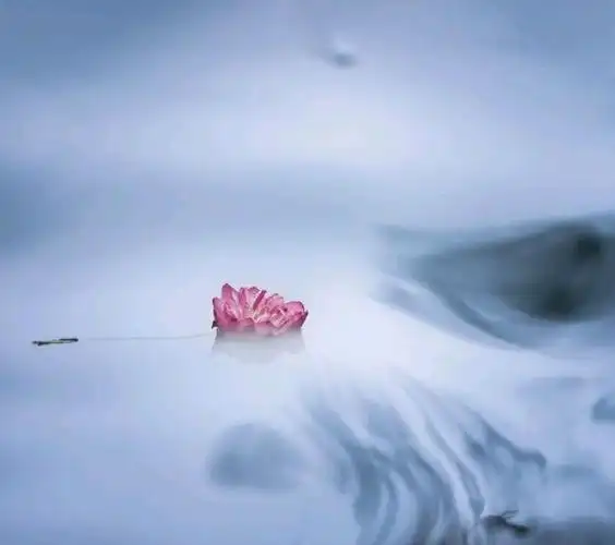 给你痛苦的人和事,却也是你的救赎,经典说说-句子大全