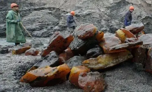 俄罗斯是重要的琥珀产地.