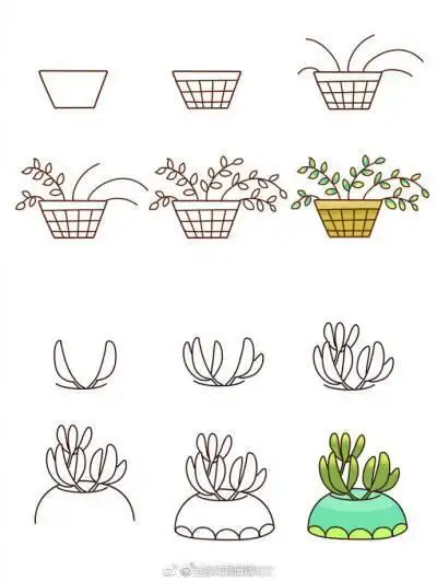 18个超萌多肉植物简笔画盛夏时节 来画组清新可爱的多肉盆栽简笔