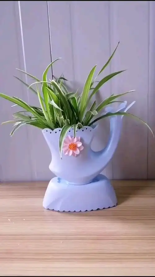 洗衣液桶不要扔,家里不要买花盆了,一款简单的花盆水养特方便.