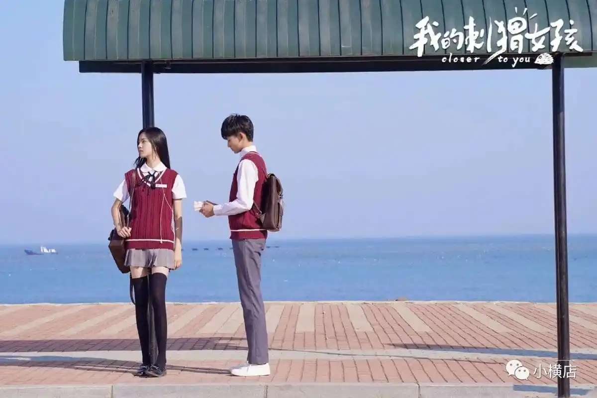 我的刺猬女孩命运注定是无法改变的只是一个人顶替另一个人去承受