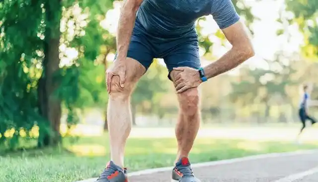 健康膝盖疼有异响当心是半月板在求救