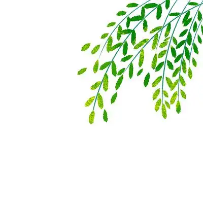 绿色手绘卡通柳叶叶子春天元素png素材