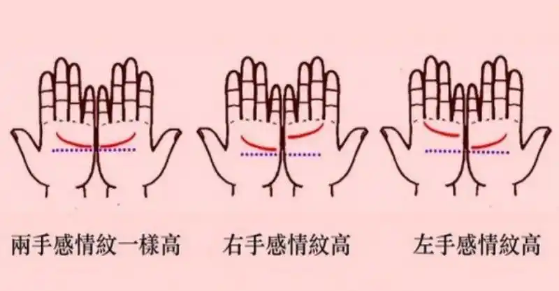 你双手的「感情线高低」,就暗示了你「喜欢的另一半」!