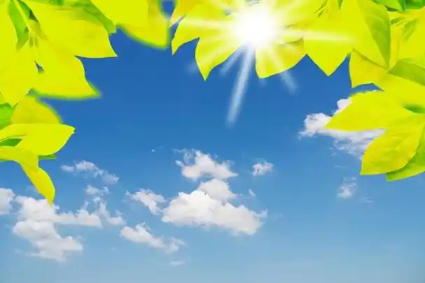 今天的天气真的很好,阳光明媚,温暖宜人.