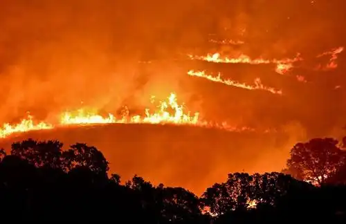 美国一男童玩火引起加州燎原大火