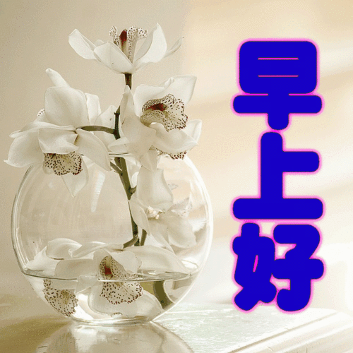 早晨带字动态图片大全 早上好问候语温馨句子