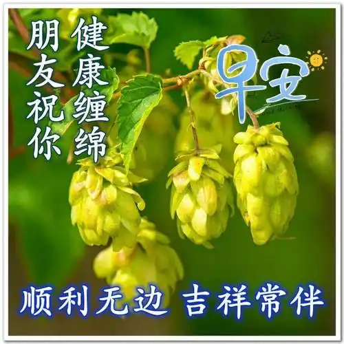 漂亮秋日风景早上好祝福图片带字温馨好看的朋友圈早安问候祝福语图片
