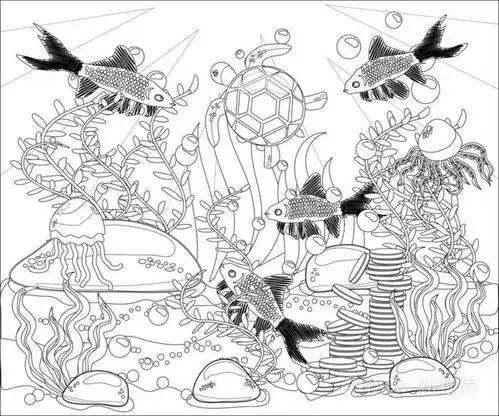水下世界. 成人防应力着色书. 轮廓绘图着色页. 黑白的禅宗风格. 海壳