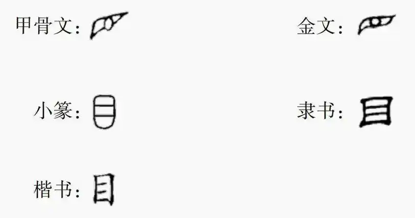 汉字里的文化_意思_月读_传统