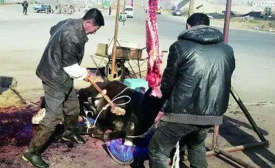 册亨:多部门联合开展春节走访慰问活动