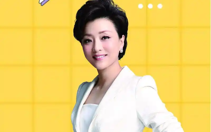 离婚29年后,再看杨澜与张一兵的现状,两人的差距一目了然