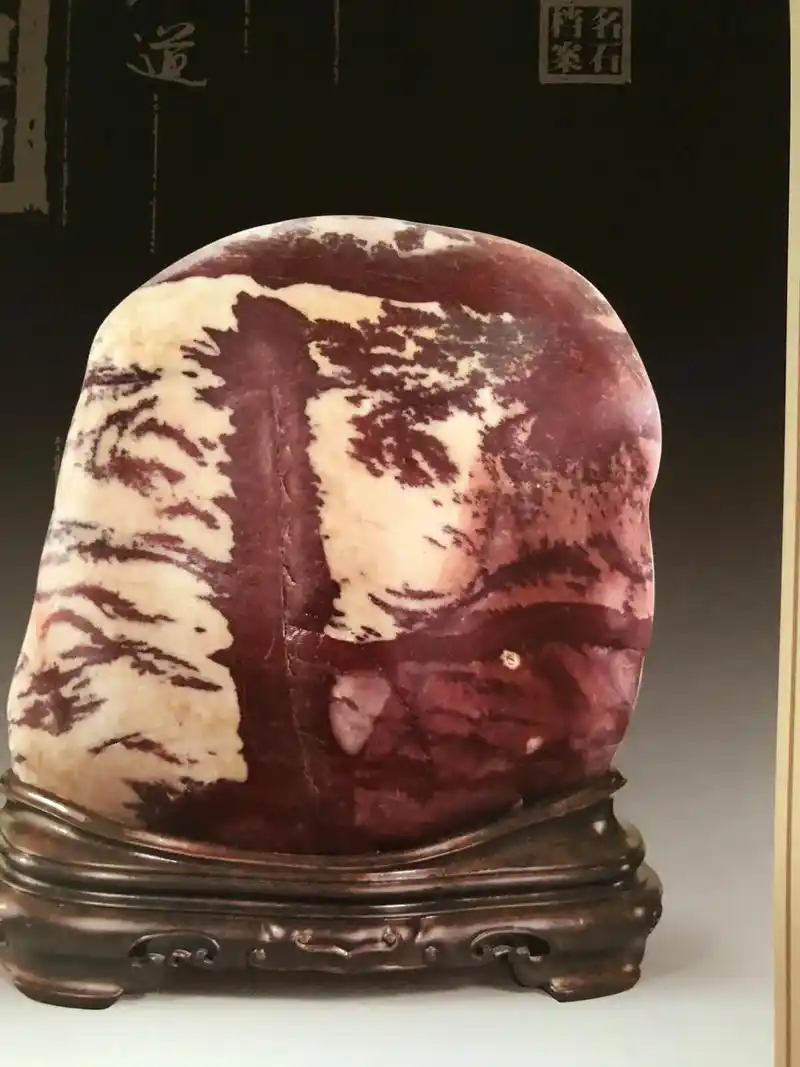 收藏家袁中文藏品(二)#纯天然奇石 #大自然的馈赠 #赏石 - 抖音