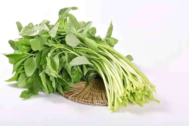 这5种绿叶菜,比牛奶含钙高,每天吃一把,全家老小钙都补足了