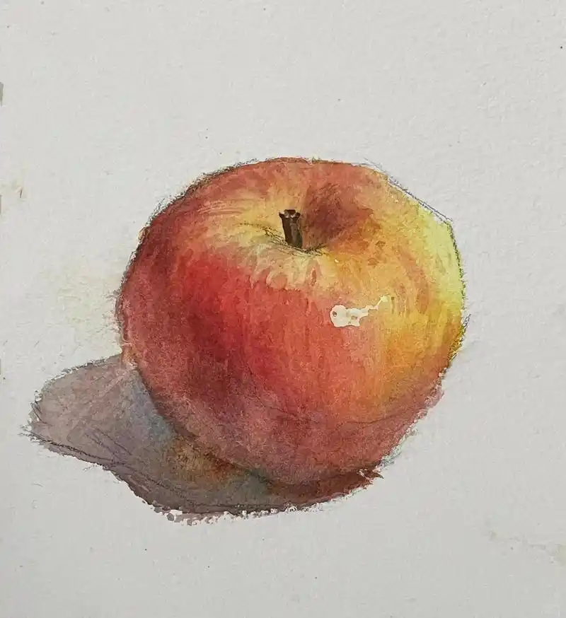 水彩单体步骤图——苹果