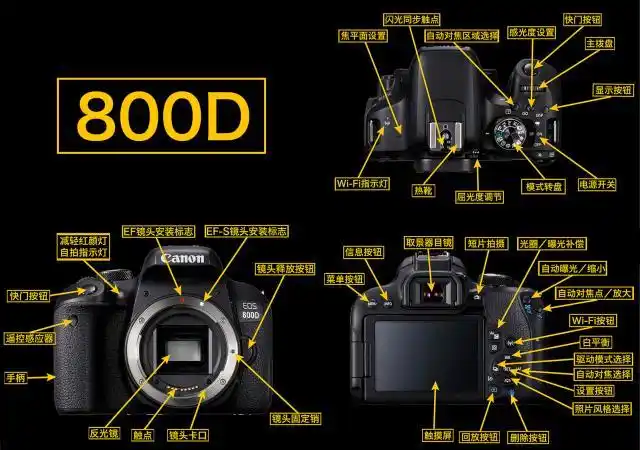 佳能单反5d4,6d2,90d,80d,800d,200d2,eosr,eosrp,eosm5