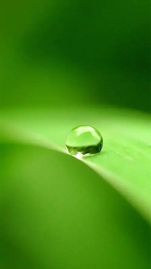 高清微信护眼图