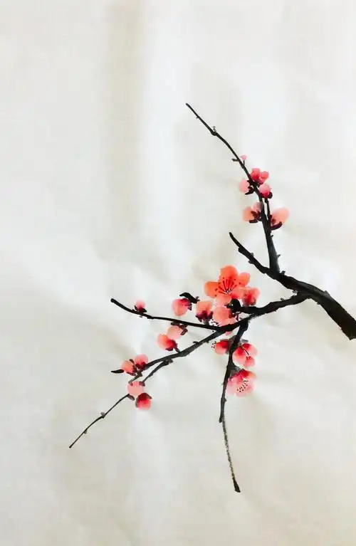 看着杏花画梅花