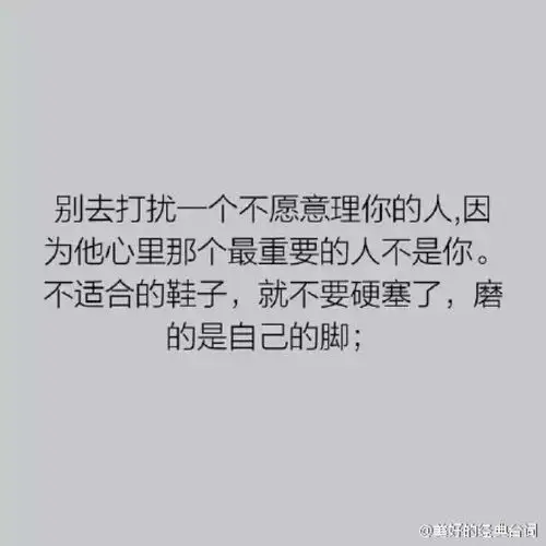 别去打扰一个不愿理你的人