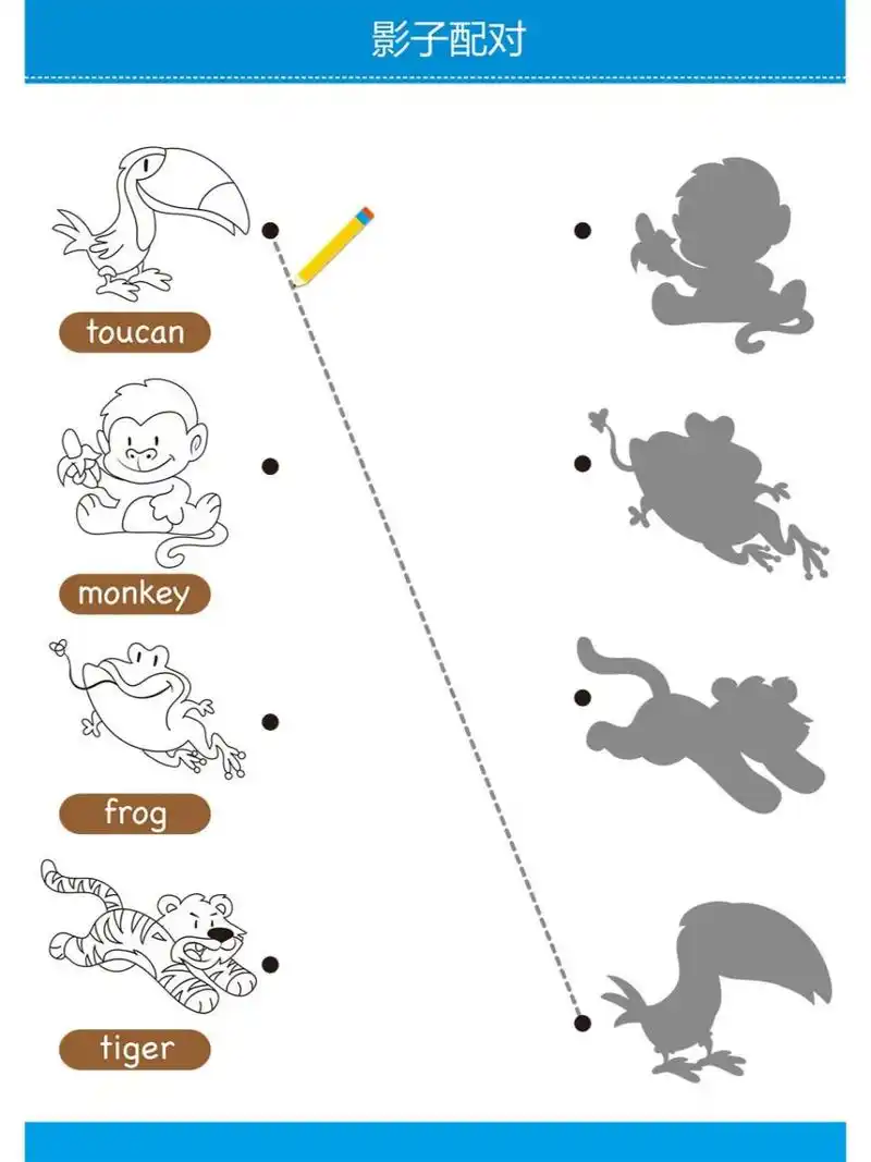 动物影子配对活动