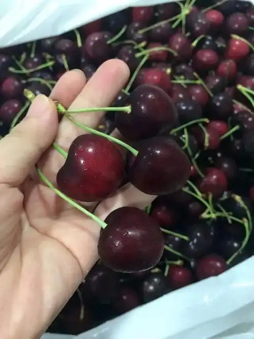 天天特价!吃货们的福利,智利进口车厘子"从天而降"