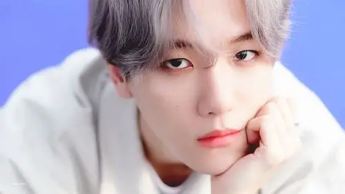 exo 边伯贤 cr:11degreecelsius - 堆糖,美图壁纸兴趣社区