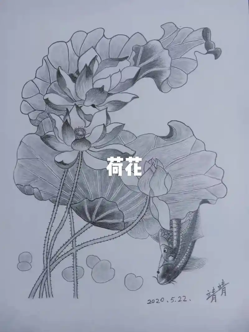 荷花出淤泥而不染,#带你走进画里 #想画就画 #画画使我快乐 - 抖音