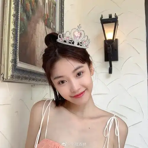 有没有半藏森林好看的照片