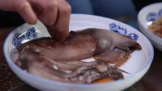 鱿鱼乌贼鱼墨斗鱼海鲜(2)