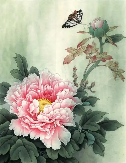 染色步骤77白描图纸国画牡丹花866