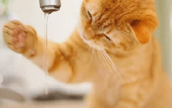 350_221gif 动态图 动图