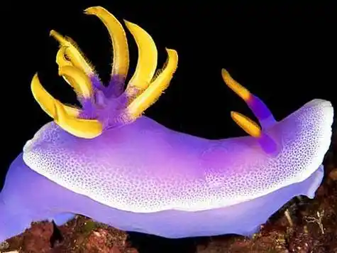 《青年文摘·快点》