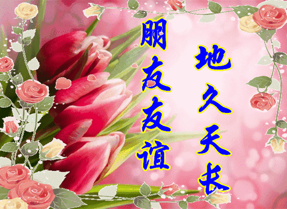 对于一个人来说被拉黑和被删除哪个更具杀伤力