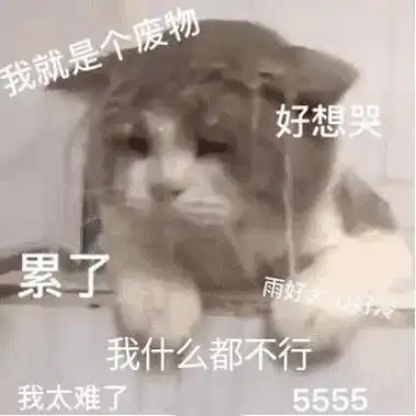 高清可爱带字的卑微系列表情包图片头像