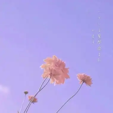 老人头像高清图片适合50岁60岁老人的微信头像图