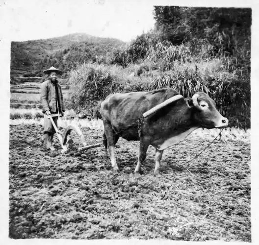 历史影像:20世纪50年代光泽照片