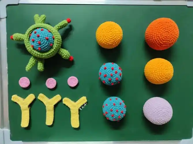 钩针原创高中生物体液免疫教具设计