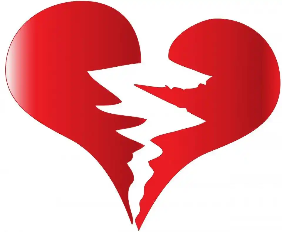 京东华南非机动车保险一本通