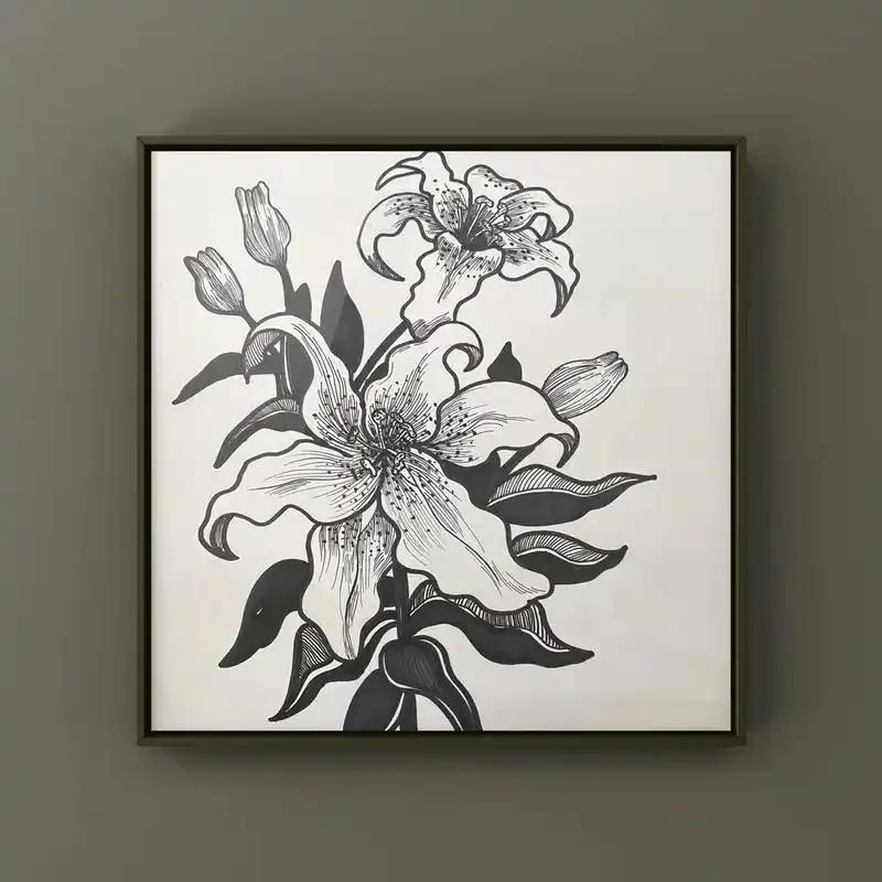 每日一画|黑白线描花卉·百合花 「临摹来自:  特别感谢原创作者提供