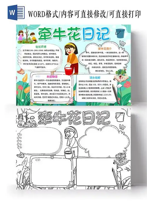 花边春天植物生长记录小报吊兰成长日记电子手抄报春季植物粉色卡通