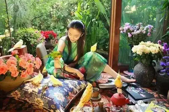 鲁豫参观杨丽萍月亮宫(杨丽萍的太阳宫被查封)(7)