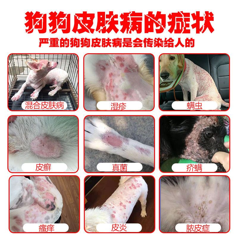 狗狗皮肤病喷剂狗癣真菌感染湿疹螨虫皮屑脓皮症长皮肤病喷雾用品喷剂